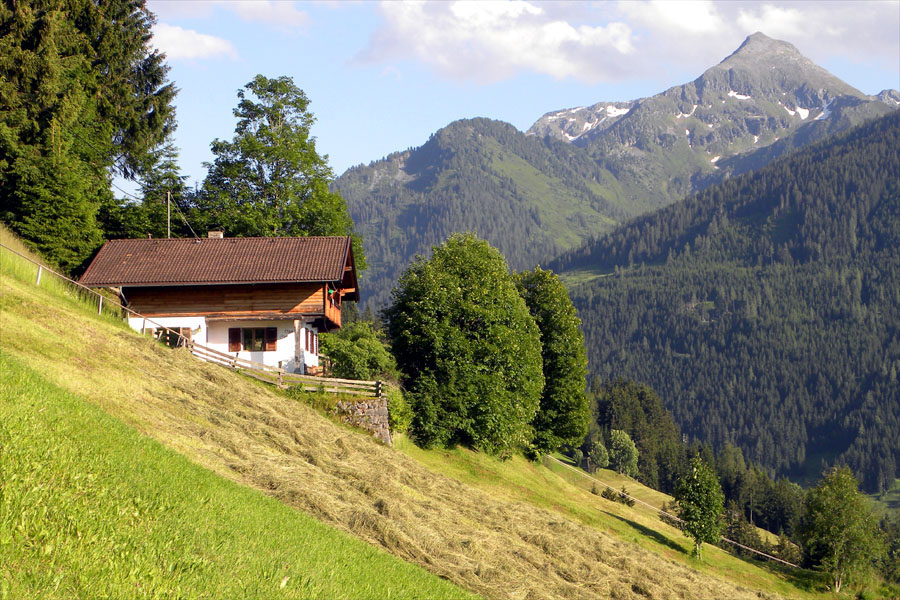 Ferienhaus Sonnenalm