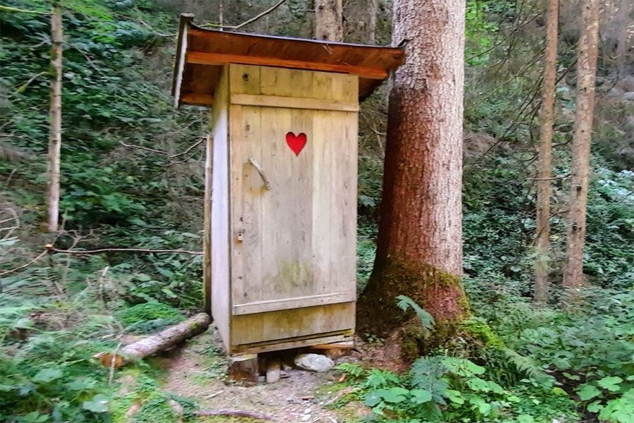 im Wald bei der Mühle